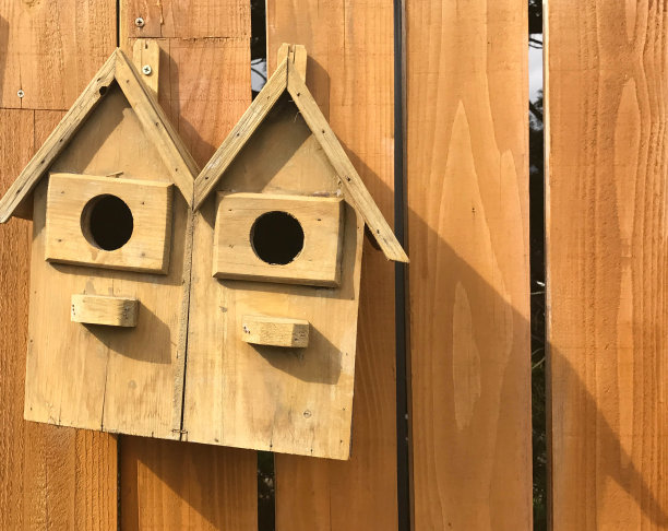 木栅栏上的鸟屋图片下载