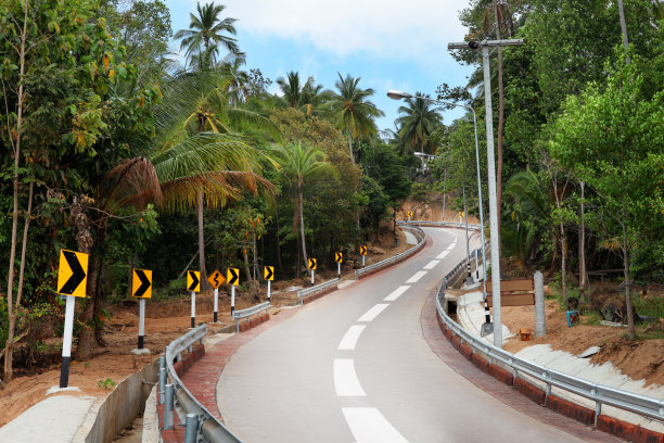 弯曲的柏油路在丛林森林，然后左转图片下载