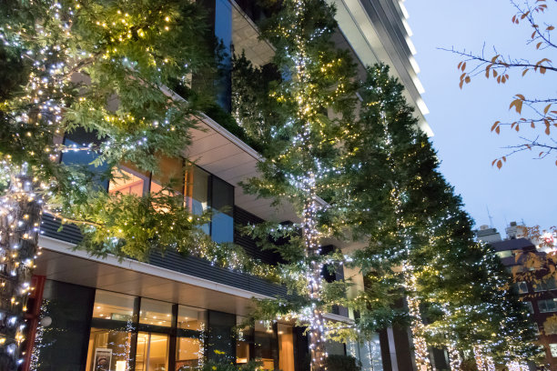 日本东京银座圣诞灯饰图片下载