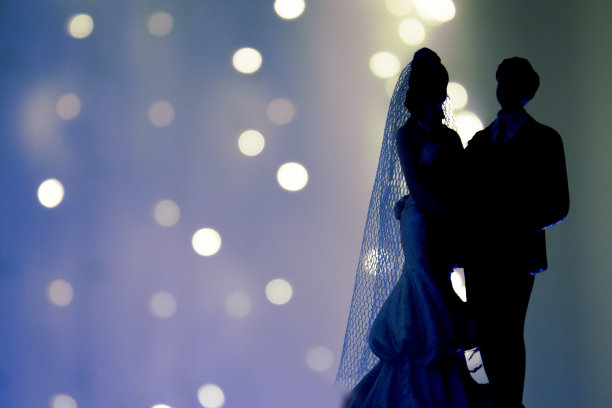 明亮的背景上新婚夫妇的剪影图片下载