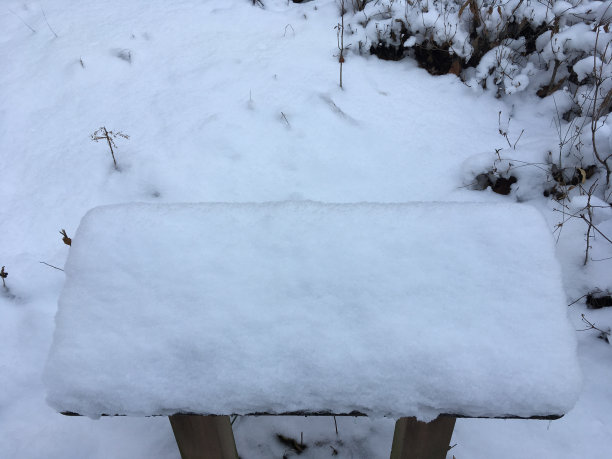 通知版图片下载