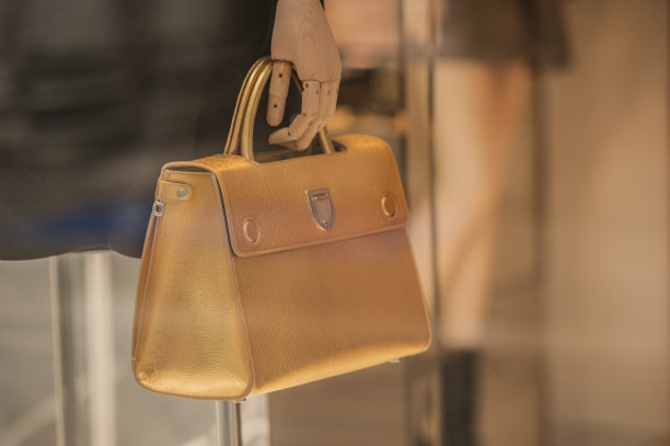 时尚女性钱包在时尚商店，Venize，意大利图片下载