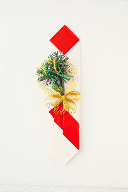 手拿一个庆祝袋图片下载