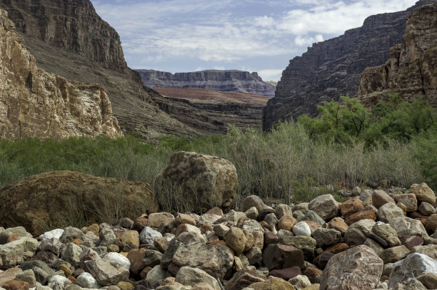 大峡谷的岩石地面图片下载
