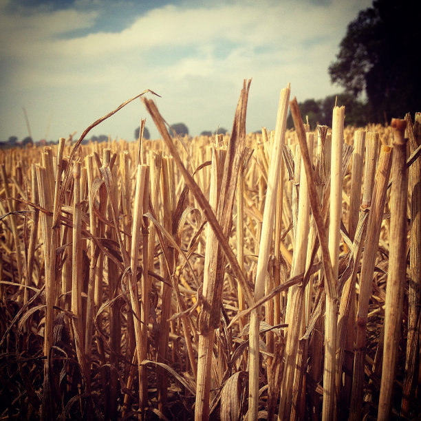 减少其中图片下载