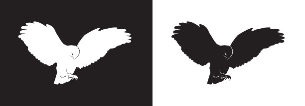 张开翅膀的鹰或鹰图片下载