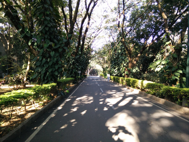 公园路图片下载