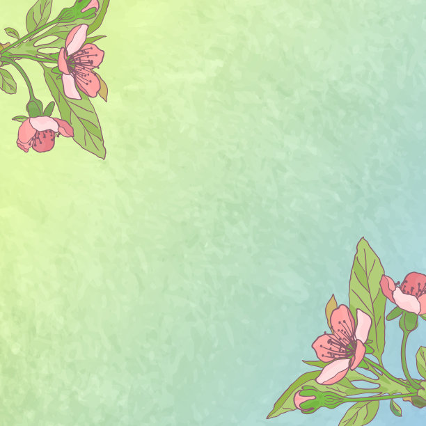 樱花，在灯光背景上的特写。春天的背景。盛开的樱花。素材图片