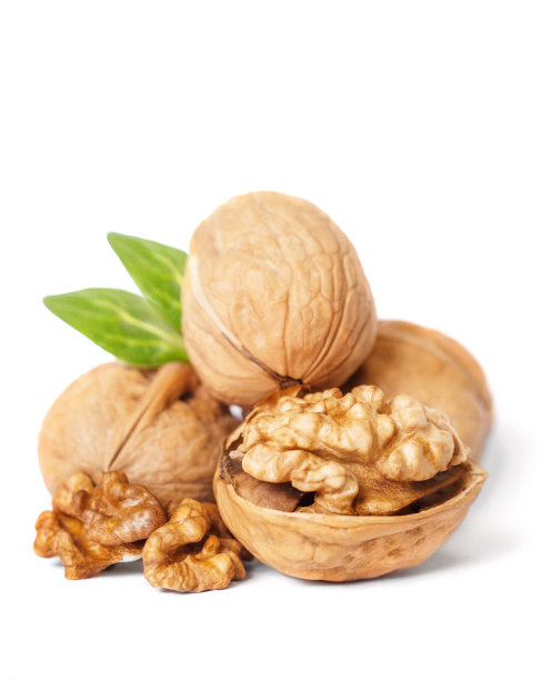 孤立在白色背景上的核桃。剪切路径。图片下载