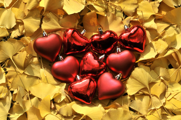 落叶上的心图片下载