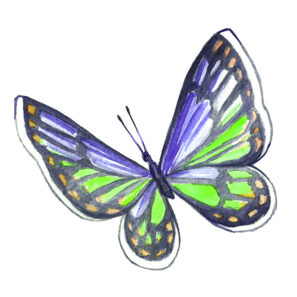 蝴蝶插画素材ID：302024598