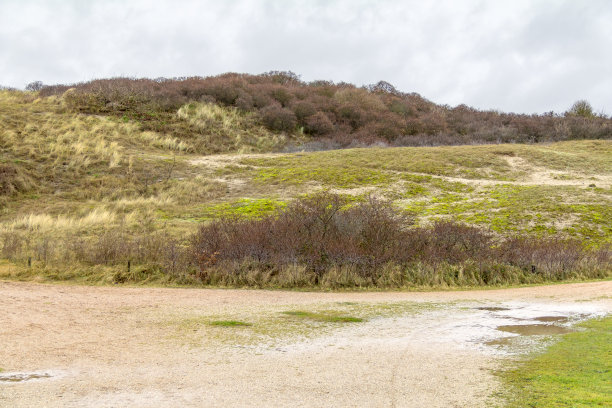 海岸沙丘的风景图片下载