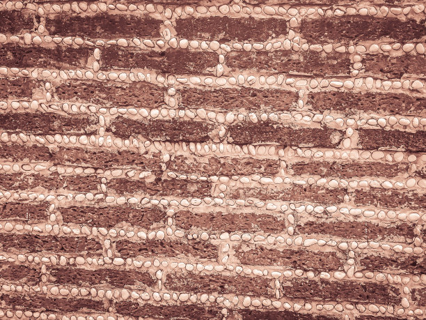 红土块石和砾石在边界围栏墙dash图案。红土块石墙图案与砾石拼接纹理背景。图片下载