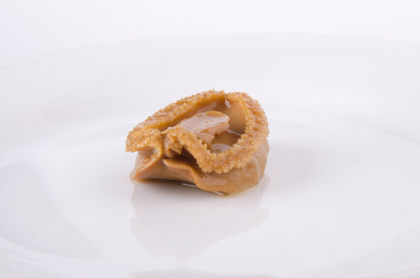 食物的背景。图片下载