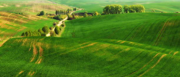 丘陵。春天的早晨。田野里美丽的日出图片下载