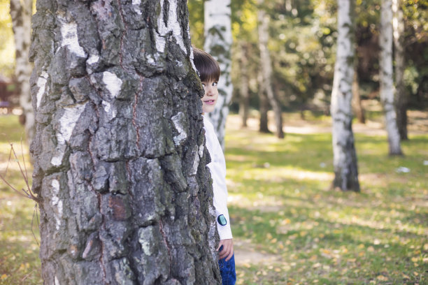 如果你能找到我图片下载
