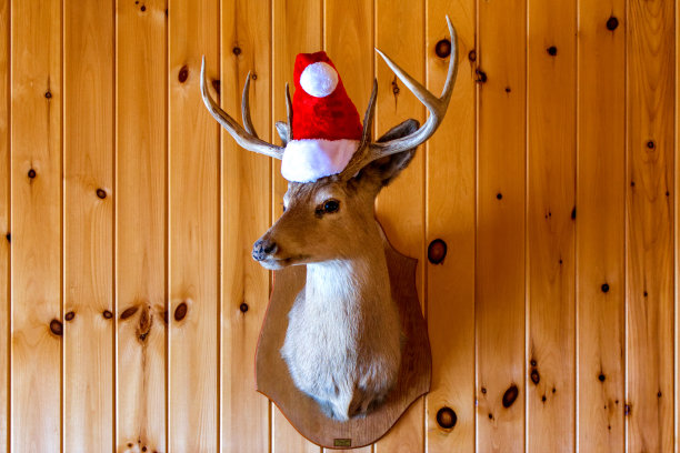 戴着圣诞老人帽的鹿图片下载
