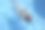 一个夏天，一个女人在游泳池里享受图片下载