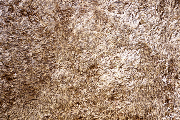 地毯织物纹理的特写照片素材图片