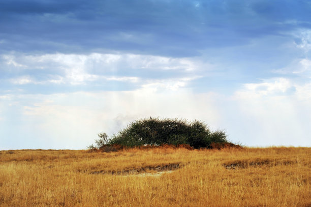 纳米比亚埃托沙国家公园的景观图片下载