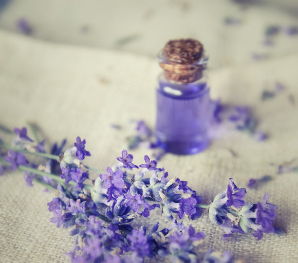 草药油和薰衣草花图片下载