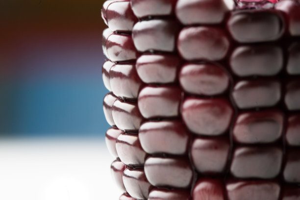 紫玉米片图片下载