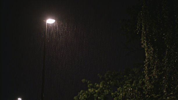 雨夜。孤独的灯柱和一棵潮湿的树图片下载