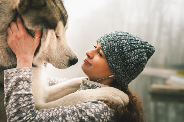 年轻女孩和她的阿拉斯加雪橇犬在户外素材图片