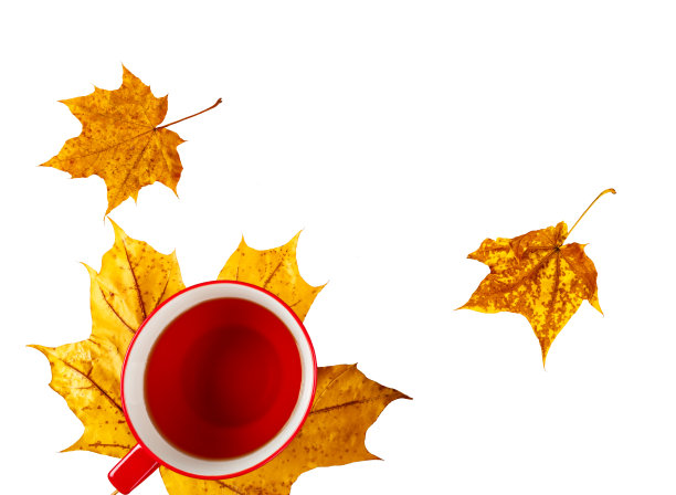 杯饮在黄叶上图片下载