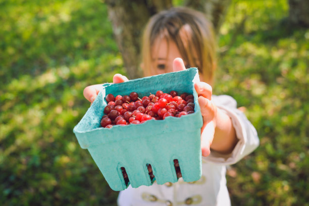 贝瑞赏金图片下载