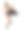 3D渲染芭蕾舞女演员在白色图片下载