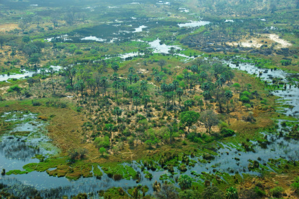 博茨瓦纳的奥卡万戈河三角洲图片下载