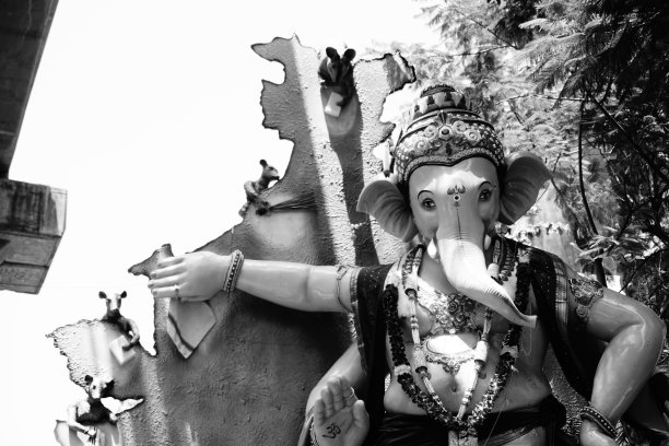 甘帕蒂的特写图片下载