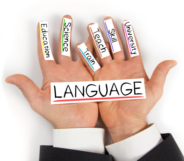 棕榈标签的概念图片下载