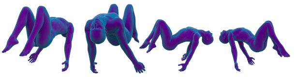 人体解剖学的3D渲染图图片下载