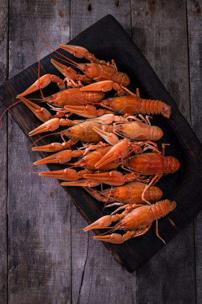 煮小龙虾与莳萝在黑暗的背景图片下载