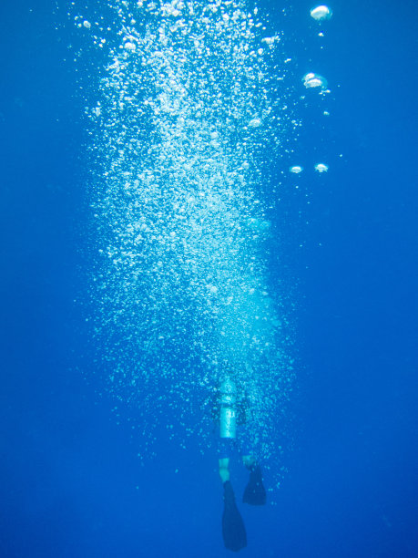 戴水肺的潜水员图片下载