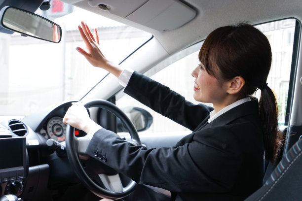 年轻女子开车图片下载