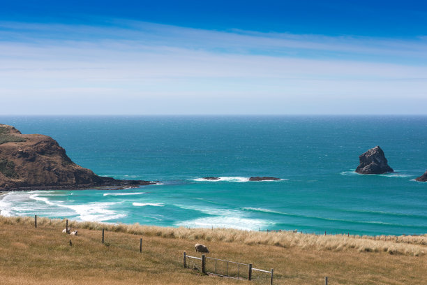 莫拉基巨石的多云日出图片下载