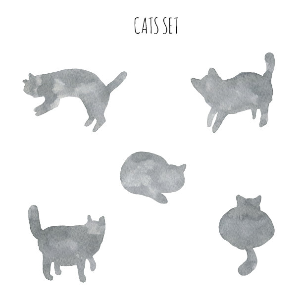 5只灰色的猫孤立在白色的背景素材图片