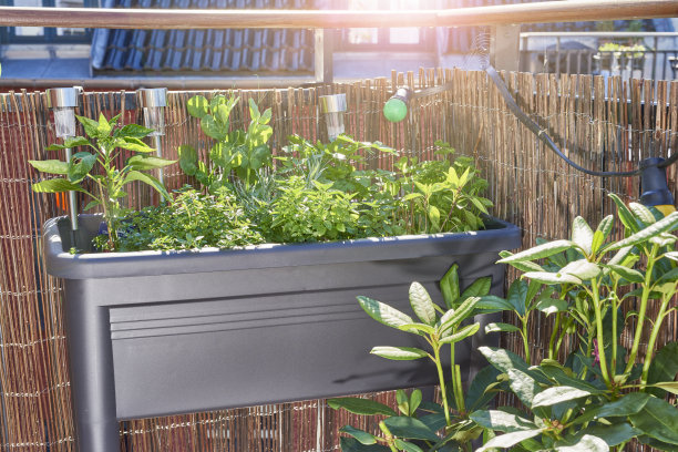 阳台花园图片下载