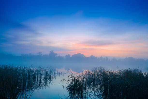清晨，黎明越过湖面。雾蒙蒙的早晨，田园风光，荒野，神秘的感觉图片下载