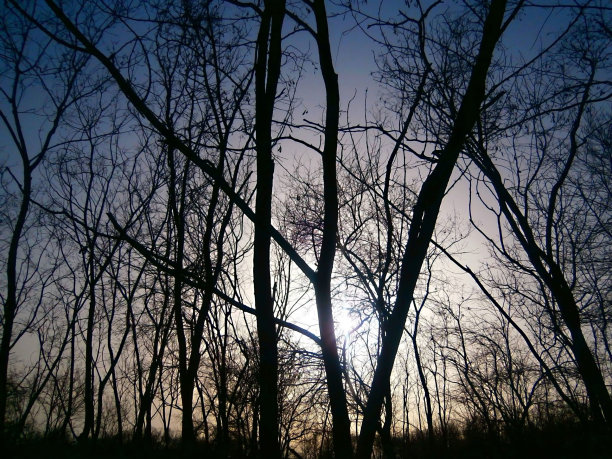 太阳和秋天的颜色图片下载