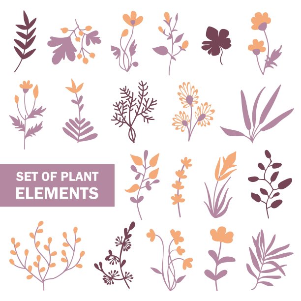 一套手绘植物元素图片下载