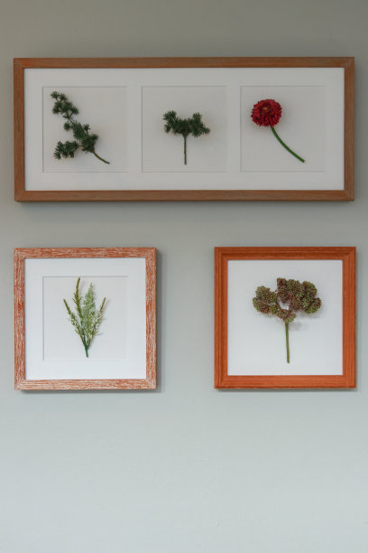 相框与花模拟挂在墙上家庭内部。图片下载