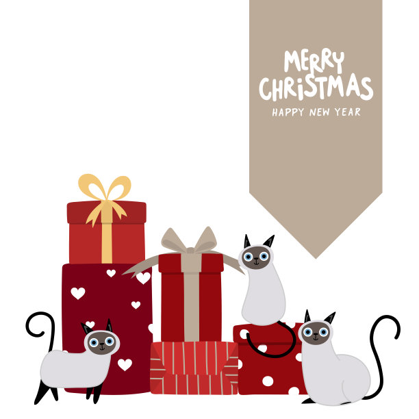 可爱的猫和圣诞礼物图片下载