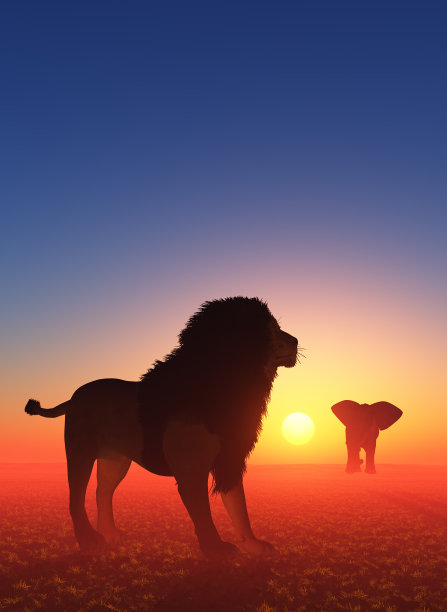 狮子和大象图片下载