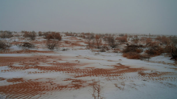 乌兹别克斯坦克孜勒库姆沙漠的雪图片下载
