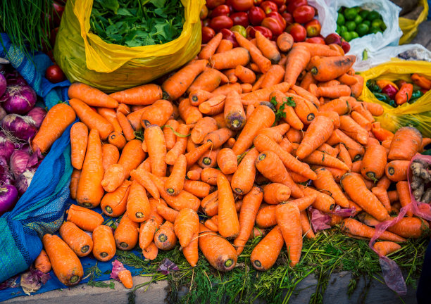 农场的新鲜胡萝卜图片下载