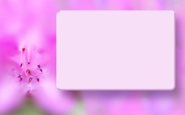 模拟边界与粉红色杜鹃花，灯箱和模糊的散焦背景，软焦点，微距。春、夏花香背景。贺卡，明信片，剪贴簿，相册，网站，海报，传单，小册子的模板图片下载